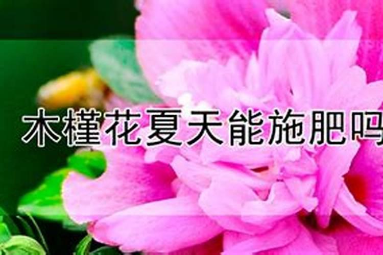 蛇莓草用多了有毒吗