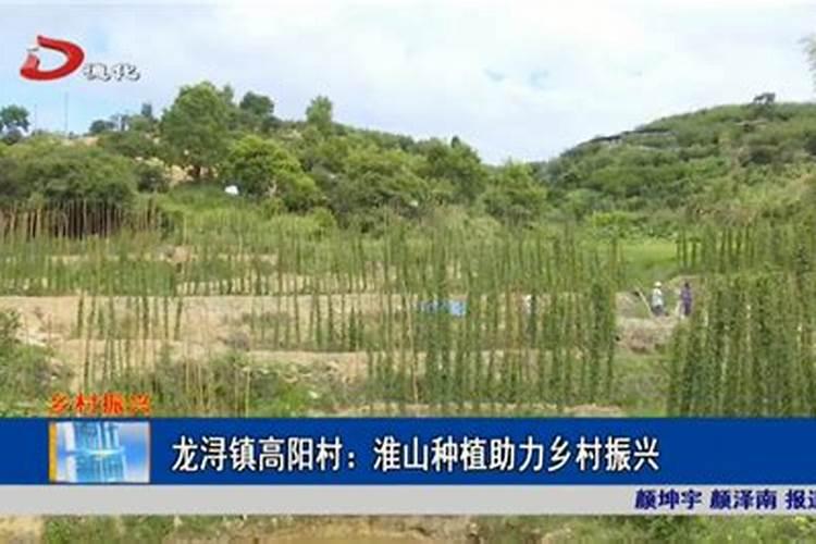 秋季种植淮山什么时候施膨大肥 秋季种植淮山什么时候施膨大肥...