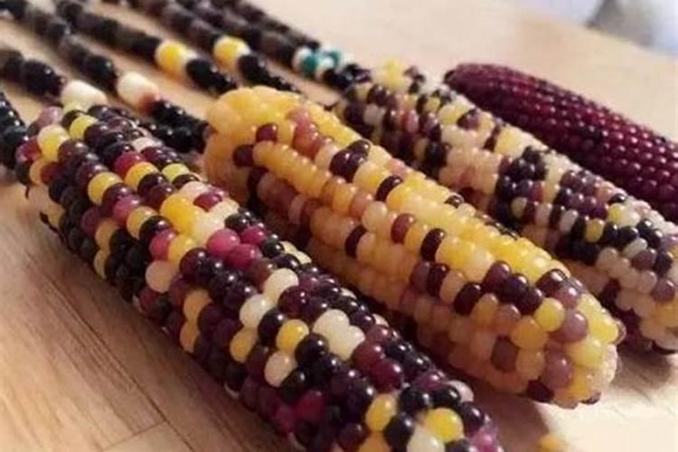 玉米追肥用什么肥料