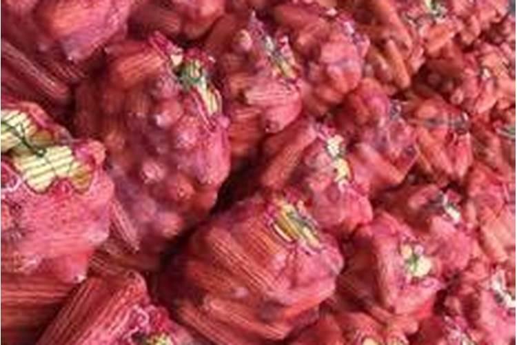 玉米刚背包好小,还可以施肥吗