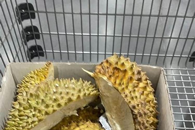 榴莲壳可以做肥料吗