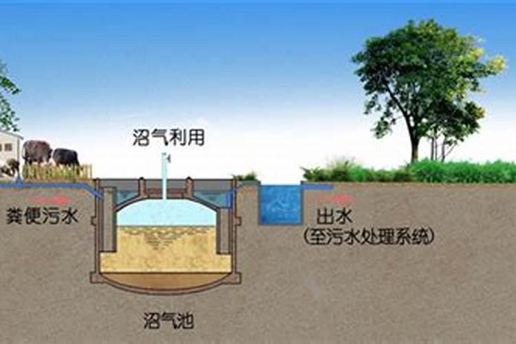 农村种水稻,用沼气池里的肥料,可以直接撒到田里吗？