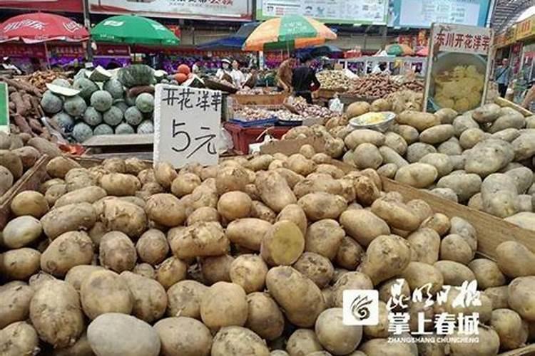 国内的好水溶肥厂家有哪些？