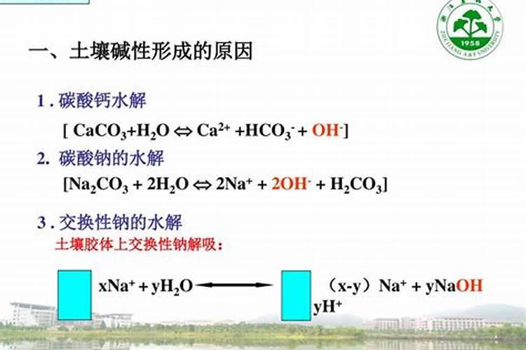 农业上怎样科学施用钙镁磷肥