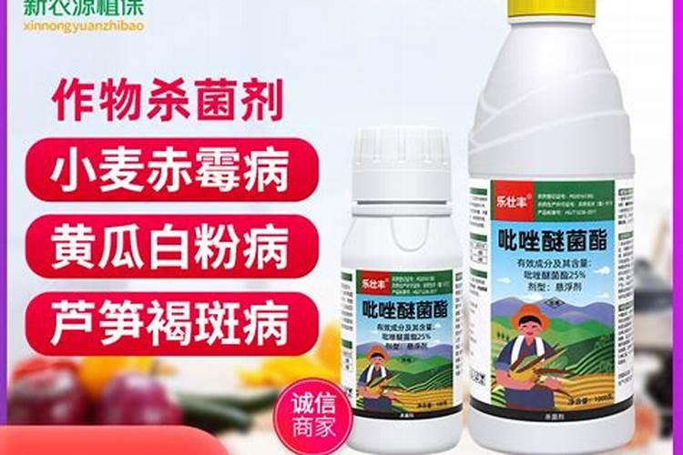芦笋打什么药好