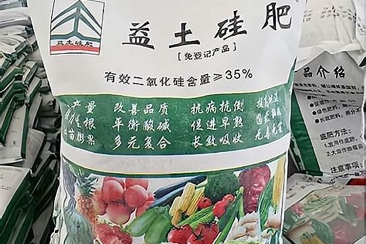 大黑灌冲施肥哪里有卖