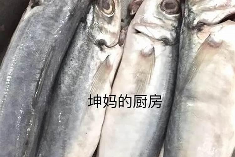 种菜用什么肥料最好