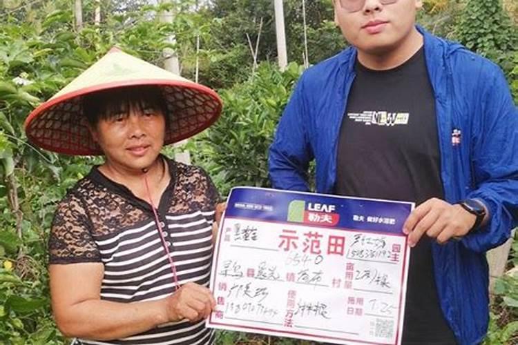 百香果挂果期施什么肥