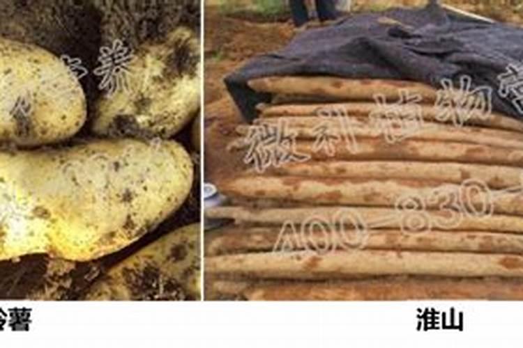 飞儿乐队否认逼走主唱,邀请原主唱回来,引起众怒:又消费前队友百度知 ...