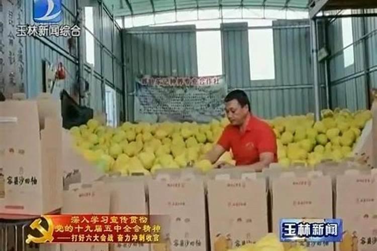 胡柚怎样种才能甜呢？