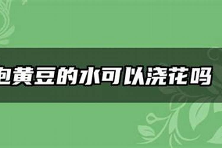 用发酵的泡黄豆水给黄瓜、芸豆施肥可以吗？