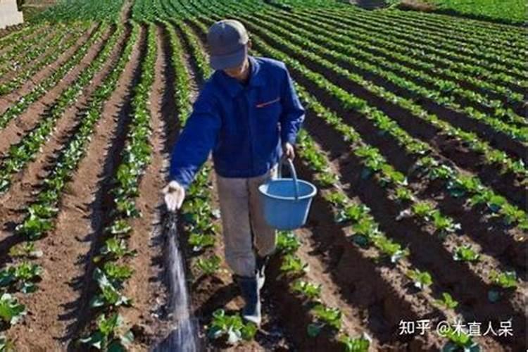 30.以天然气为原料合成氨是新的生产氮肥的方法,它具有污染小、成本低...