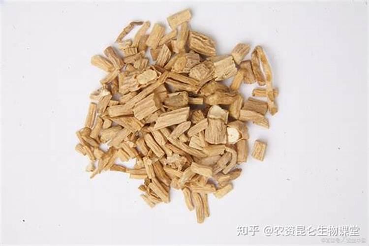 种植中药材,为什么要科学施肥