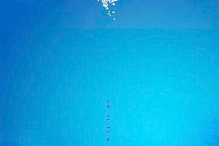 水溶肥可以雨前撒施吗