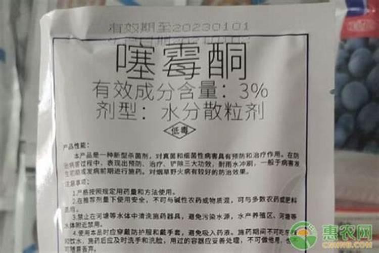 玫瑰花多久施一次肥 要施什么肥料