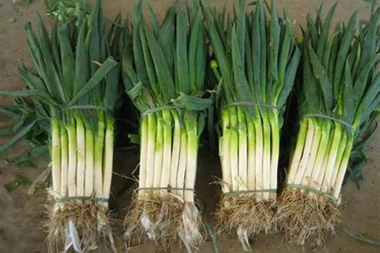 花生壳可以做肥料吗 花生壳可不可以做肥料