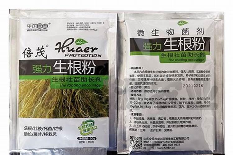 促进植物生根的方法是什么？