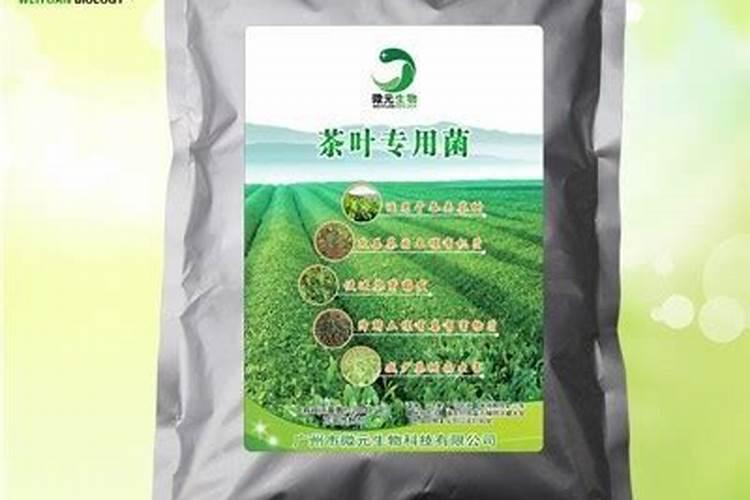 茶叶用什么肥料好