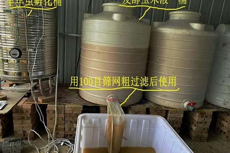如何处置鱼塘红色浮膜