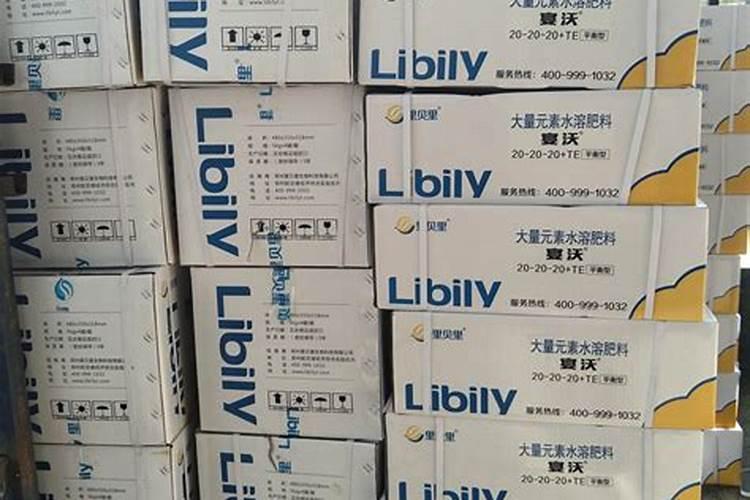 荔枝果苗刚种两天能不能放生根水浇水