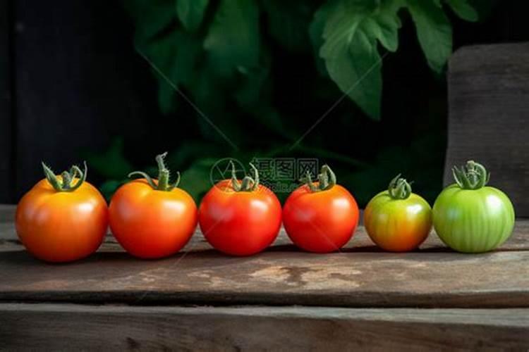 番茄果亮要施什么肥？番茄管理好提高果色亮度