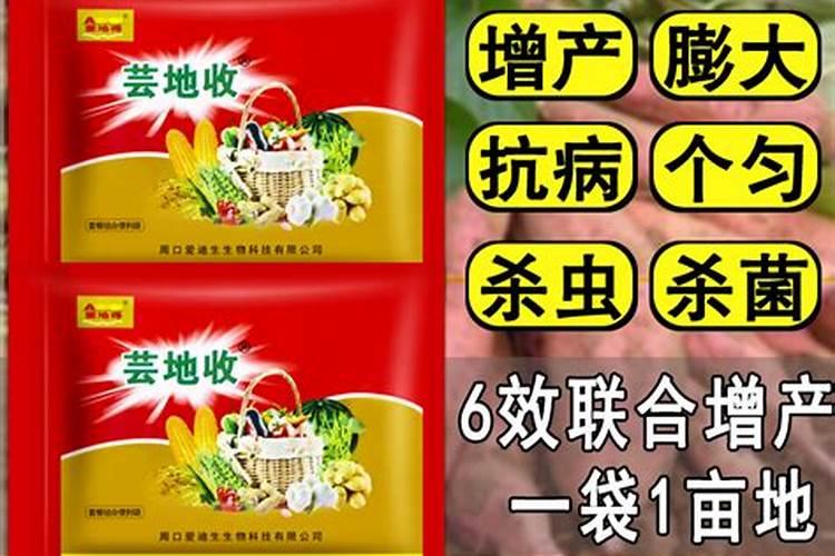红薯后期如何施肥