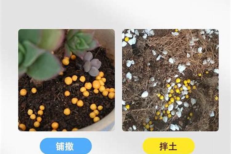 怎样在外观区分氮、磷、钾肥？？？