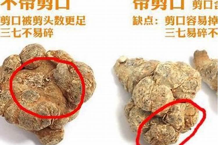 阳台藤三七上什么肥好,三七用什么肥料长得快