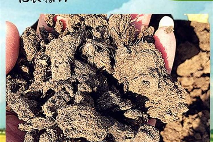 土壤肥力与哪些因素有关