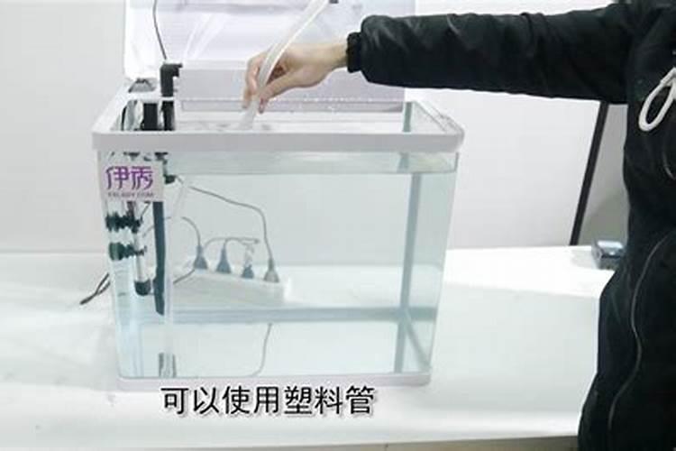 黄花鱼的腥味如何去除 怎样去除黄花鱼的腥味