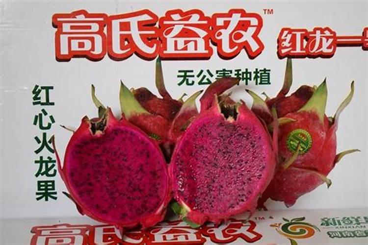 火龙果怎么施肥比较好