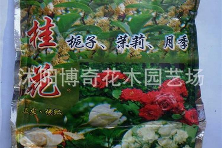 桂花施肥用什么肥料