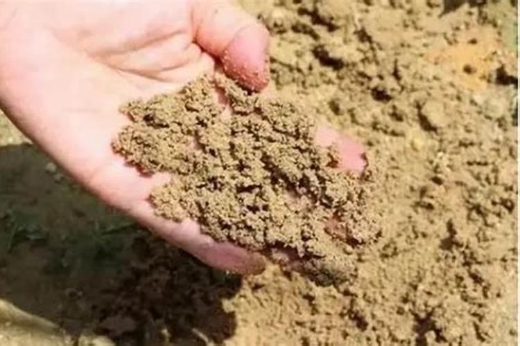 我想问一下施肥过多光合作用速率降低的原因