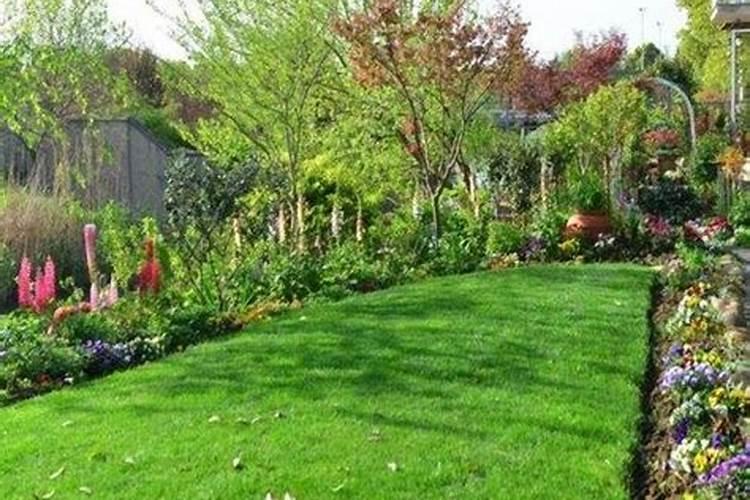 草坪施肥的最佳时间