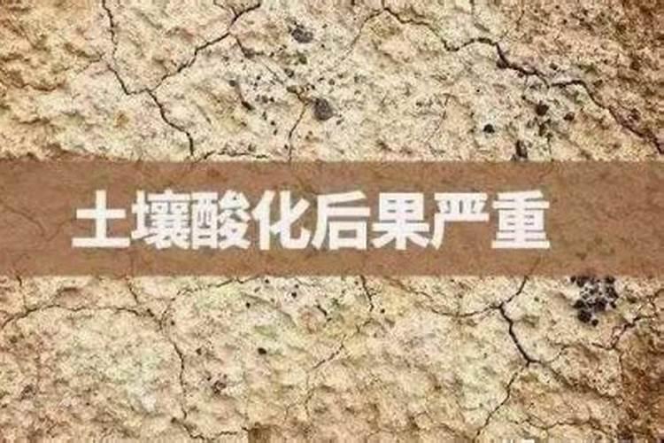 酸性土壤改良方法用什么肥