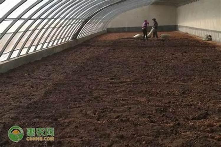 西红柿结果期水肥如何管理 具体方法如下