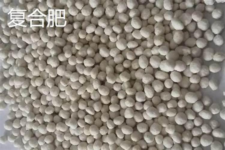 黑色的复合肥好不好