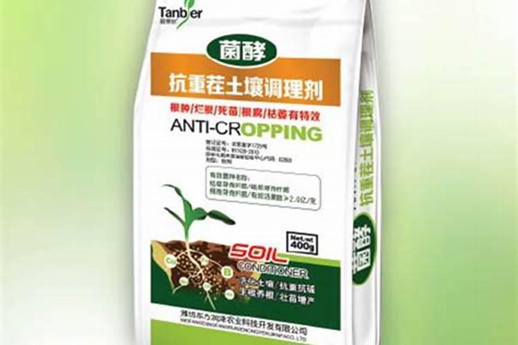 脆蜜金桔种植技术与管理