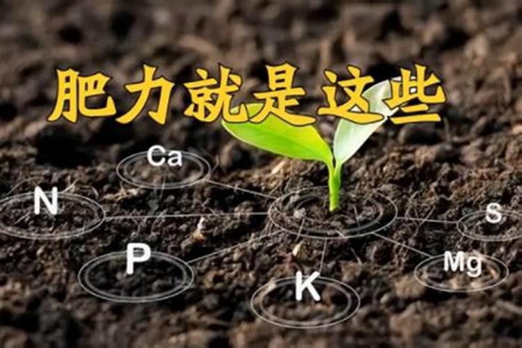 矿源黄腐酸钾怎么用最好呢？