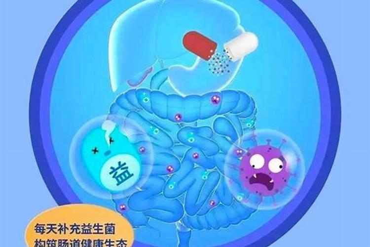 食用菌种植需要什么条件