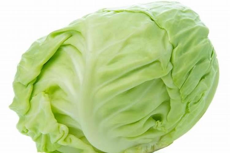 包菜施肥方法