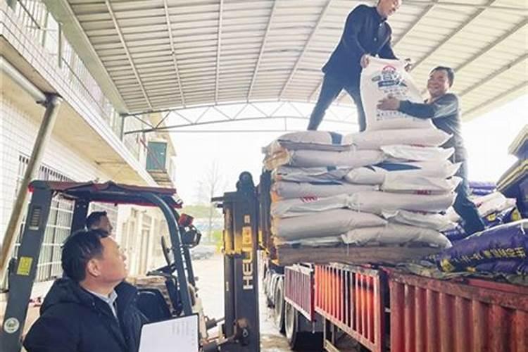 效果好的水溶肥是哪家