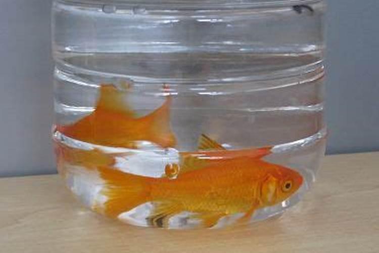 生活中哪些废弃的水对植物来说是比较好的肥料？