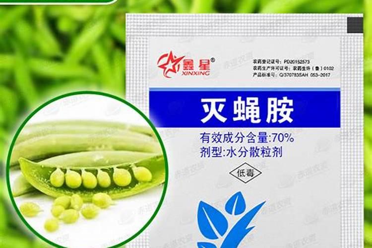 豆角怎么种植方法
