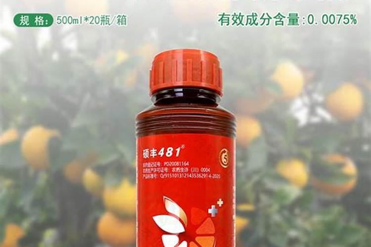 种打瓜施什么肥