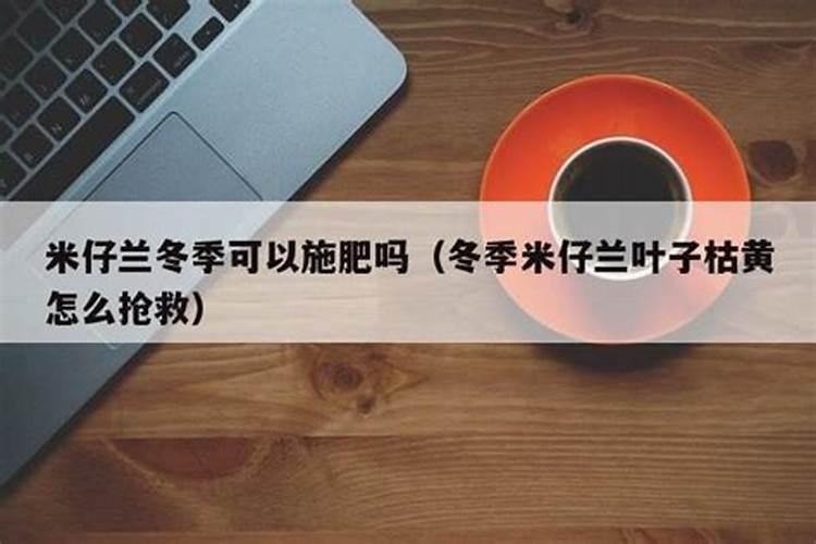 剪股颖草坪冬天需要施肥吗