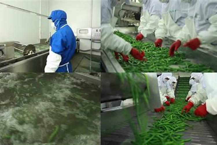 豆角优质高产施肥技术