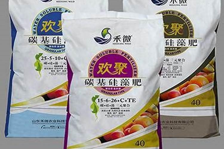 瑞香叶子发蔫原因及补救方法
