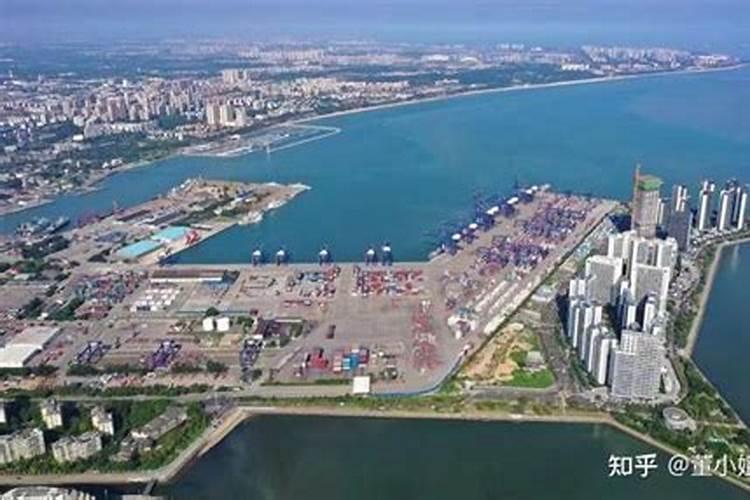 松杉开花后怎么养 松杉开花后如何养殖