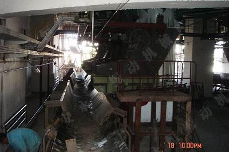 怎样养好小七彩？？